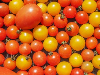 Wall Mural - Cherry tomato vegetables background