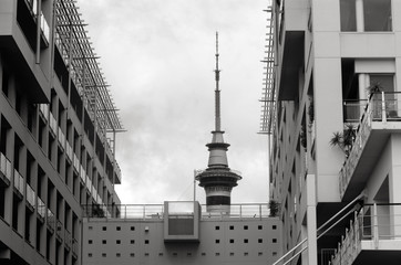 Wall Mural - Auckland Sky tower top - New Zealand