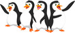 four cute cartoon penguin