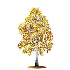 Wall Mural - detached tree birch with yellow leaves