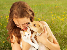 Girl In Field With Kitten And Affectionate Puppy