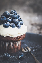 Chocolate Cupcake With Blueberries