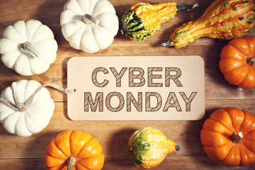 Wall Mural - Cyber Monday message with colorful pumpkins