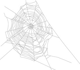 Wall Mural - black isolated spider large web illustration