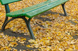 close-up of an empty green old bench in a park surrounded by fallen autumn foliage on a sunny day