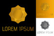© mmmmn - Vector design golden logo, gold sun design, jewellery style