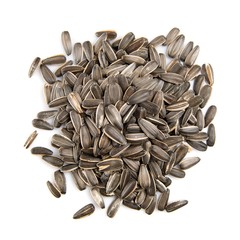 Sticker - Roasted sunflower seed