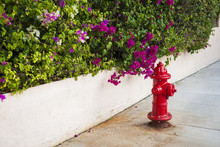 Key West Fire Hydrant