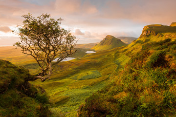 Wall Mural - The Quiraing, Skye, Scotland