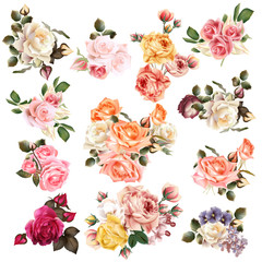 Poster - Mega collection of high detailed vector flowers for design
