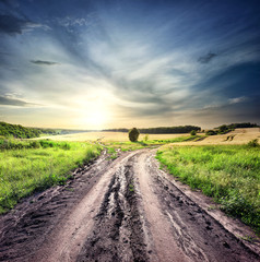 Wall Mural - forked dirt road