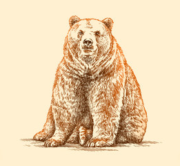 Sticker - engrave bear illustration