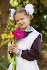 Wall Mural - Portrait of a beautiful young first-grader in a festive school u