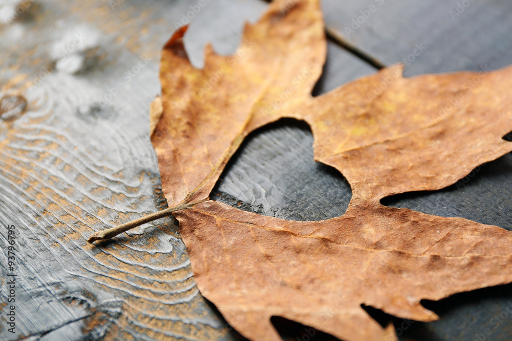 Dried autumn leaf with cutout heart on wooden background