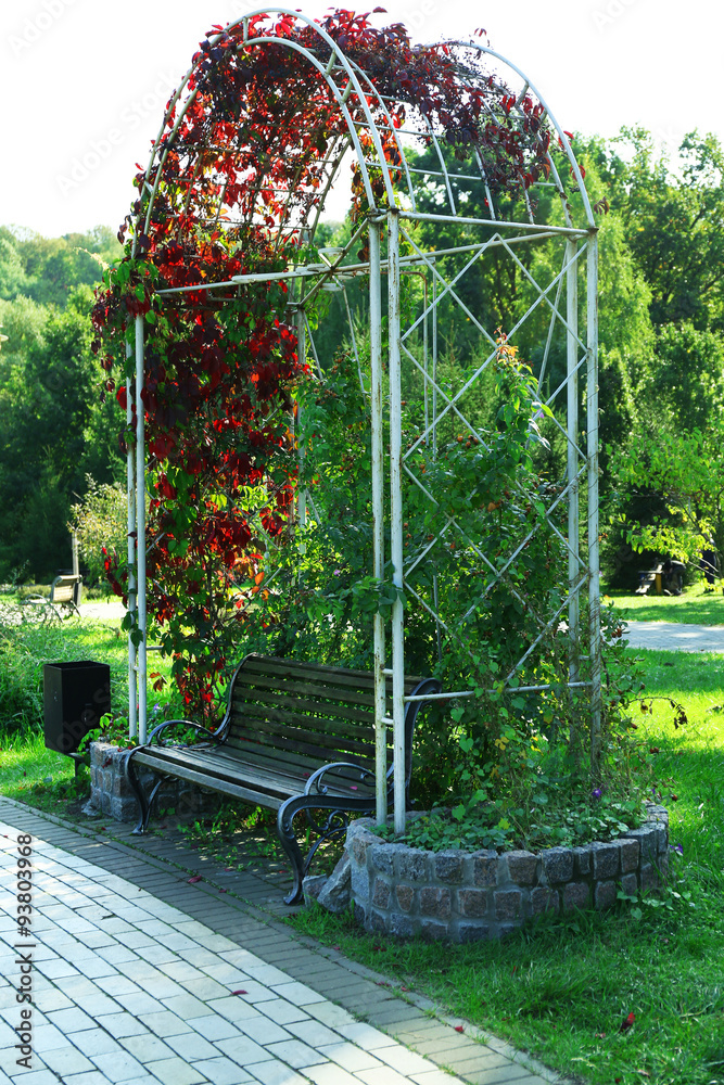 Bench in green city park