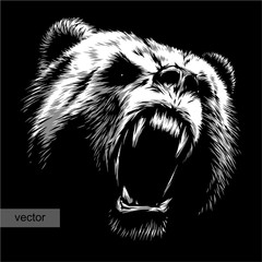 engrave bear illustration