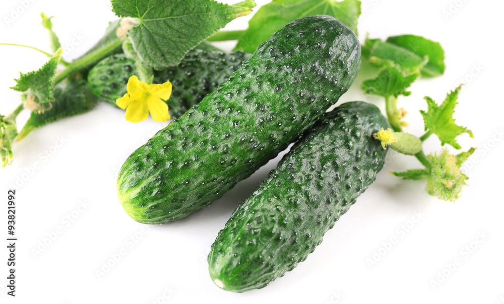 Fresh natural cucumbers with leafs isolated on white