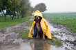 canvas print picture - Hund im Regen sitzt in einer Pfütze