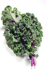 Wall Mural - Kale leaves of red or Russian variety on white background.