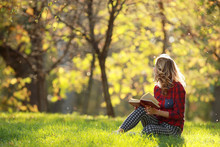 Girl In A Sunny Park Reading A Book