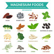 magnesium foods, healthy food vector illustration, infographic