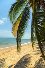 Wall Mural - Tropical beach