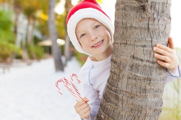 Wall Mural - christmas theme at the beach