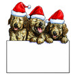 Three puppy christmas on white background vector illustration for text message greeting of christmas festival holiday.