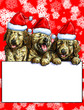 Three puppy christmas on red snow background illustration for text message greeting of christmas festival holiday.