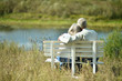 © aletia2011 - Senior couple resting at park