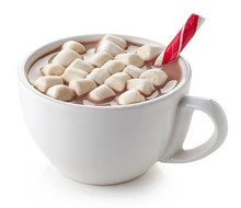 Cup Of Hot Cocoa