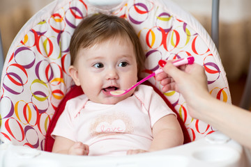 Wall Mural - baby eating food with mother help