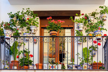 Traditional European Balcony With Colorful Flowers And
