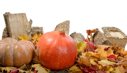 Canvas Print - several pumpkins with autumn leaves on white