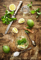 Poster - Mojito ingredients