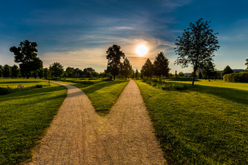 Canvas Print - Park and recreation area in the city, Green field and tree