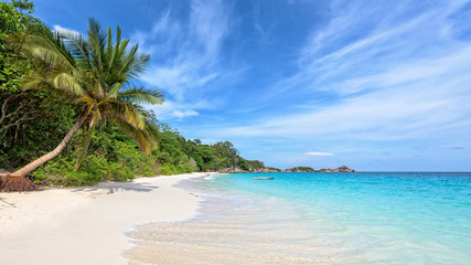 Beautiful landscape of blue sky coconut sea sand and waves on the beach during summer at Koh Miang island in Mu Ko Similan National Park, Phang Nga province, Thailand, 16:9 widescreen