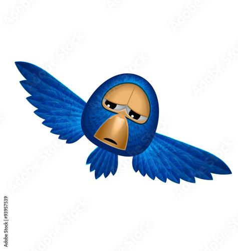 Fotografie, Tablou Angry blue bird soars and looks to you