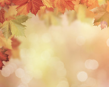 Autumnal Fall In The Forest, Abstract Environmental Backgrounds With Beauty Bokeh