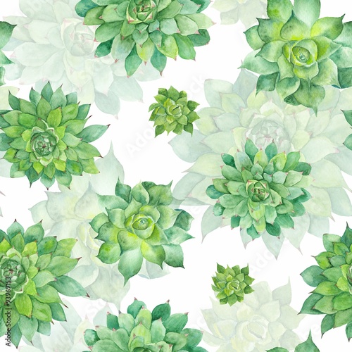 Fototapeta do kuchni Watercolor Succulent Pattern on White Background