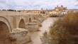 Panorámica del Puente Romano de Córdoba con la Mezquita Catedral de fondo