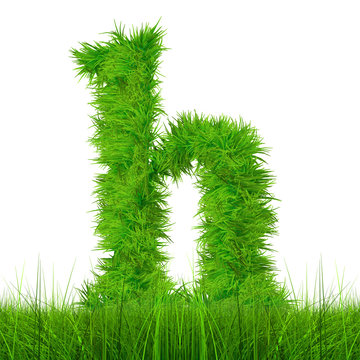Conceptual green grass 3D font isoalted