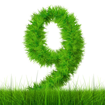 Conceptual green grass 3D font isoalted