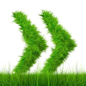 Conceptual green grass 3D font isoalted