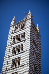 Wall Mural - Siena Cathedral in Tuscany, Italy