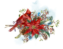 Christmas Greeting Card With Poinsettia And Bird Red Cardinal
