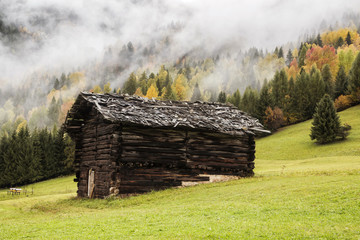 Old wooden cottage on the meadow in the background colored trees