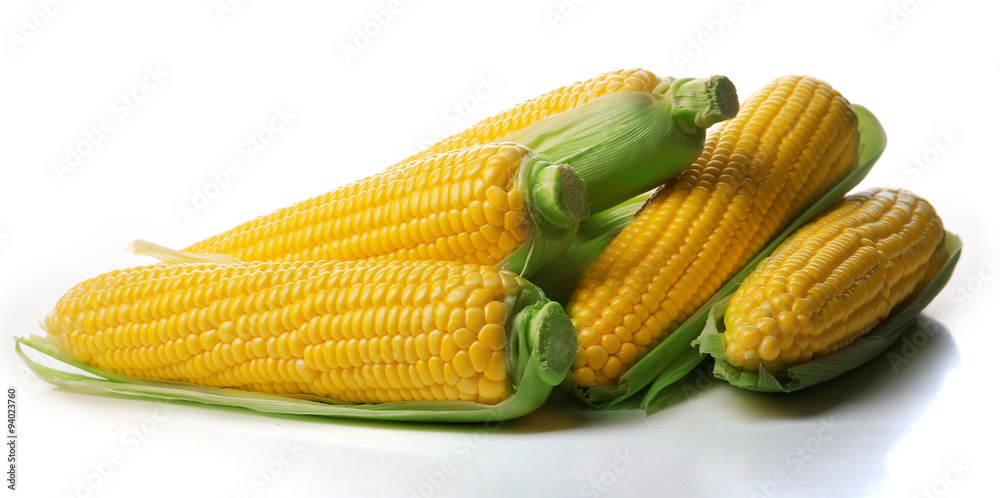 Ripe corn isolated on white