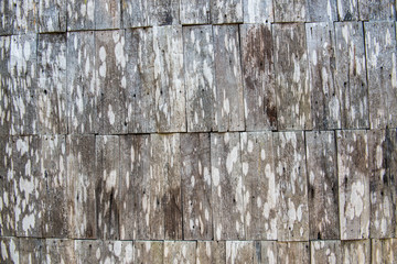 Wall Mural - Background of vintage wood wall