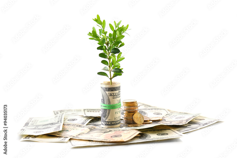 Money with growing sprout isolated on white